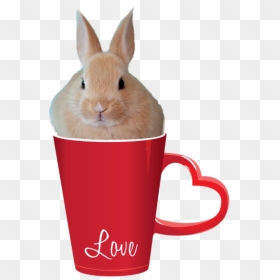##ove #bunny #rabit #cup #cute #animal #coffee - Red Valentines Day Mugs, HD Png Download - kawaii bunny png