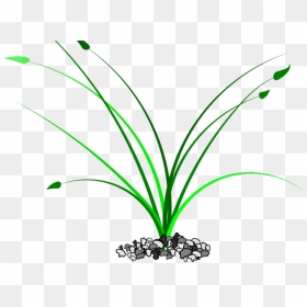 Drawn Weed Grass Patch , Png Download - Clip Art, Transparent Png - grass patch png