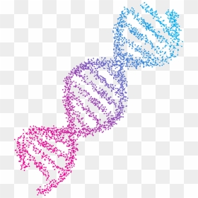 Co Dna Helix - Dna Helix Vector Png, Transparent Png - balaji images png