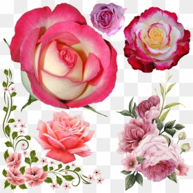 Vector Flower Border Png, Transparent Png - roses png tumblr