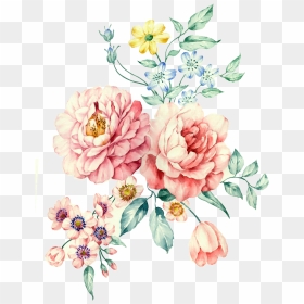 Moutan Peony Watercolor White Painting Hand-painted - Diy Furniture Decal Transfer, HD Png Download - watercolor peonies png