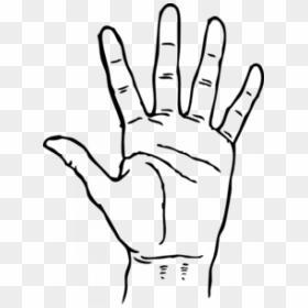 Hand Clipart Black And White, HD Png Download - victory sign png