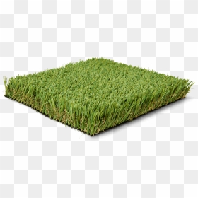 Lawn, HD Png Download - grass patch png