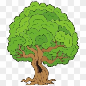 Gifs De Árvores, Imagens De Árvores Png Fundo Transparente - Big Tree Cartoon, Png Download - fundo transparente png