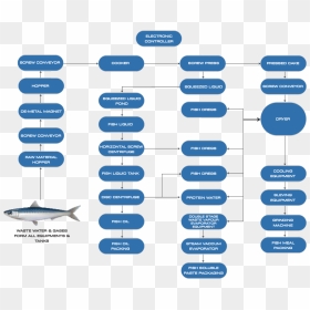 Fish Meal Production Process, HD Png Download - process png