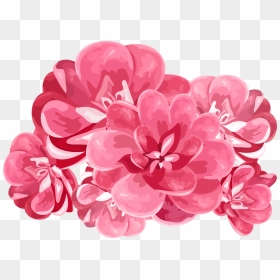Explore Search And More - Цветы Клипарт Цветы Нарисованные Пнг, HD Png Download - watercolor peonies png