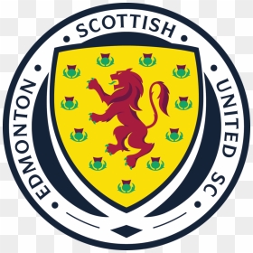 Soccer Icon Png, Transparent Png - soccer icon png