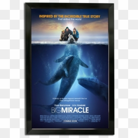Bass Loc Poster Frame - Drew Barrymore Movies Poster, HD Png Download - poster frame png