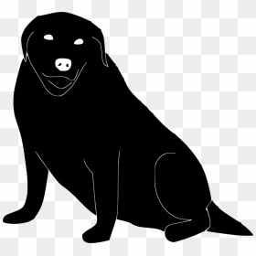 Whiskers Labrador Retriever Labradoodle Obesity Puppy - Fat Dog Black Labrador, HD Png Download - obesity png