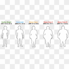 Bmi For Healthy To Obese Individuals - Body Mass Index, HD Png Download - obesity png