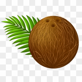 Coconuts Clipart Clip Art Library Coconut Transparent - Dibujos De Coco Fruta, HD Png Download - truffula tree png