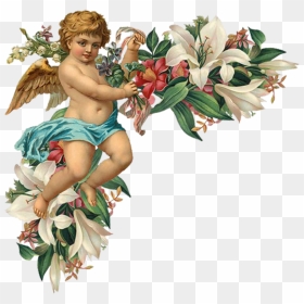 Engel Auf Blumenranken - Cherub Angel, HD Png Download - angelitos png