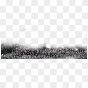 Grass Png, Grey Grass Png, Picsartallpng - Crowd, Transparent Png - grass patch png