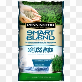 Pennington Smart Blend Costco, HD Png Download - grass patch png