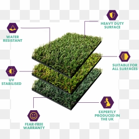 Hedge, HD Png Download - grass patch png