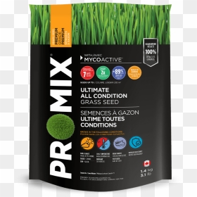 Pro-mix Ultimate All Condition Grass Seed - Promix Seed Starting Mix, HD Png Download - grass patch png