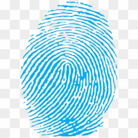 Wp#curata Yz8onojxowxpxbw - Fingerprint Scan Png, Transparent Png - vhv