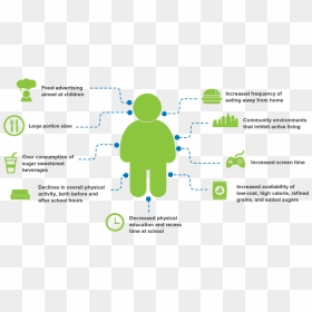 Factor That Causes Obesity, HD Png Download - obesity png