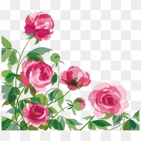 Collection Of Free Peony Vector Cartoon Download On - Cartoon Peony, HD Png Download - watercolor peonies png