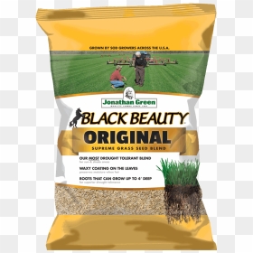 Black Beauty Ultra Grass Seed, HD Png Download - grass patch png