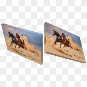 Herd, HD Png Download - sand storm png