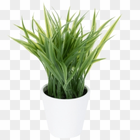 Planta Artificial Listones - Sweet Grass, HD Png Download - listones png