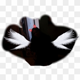 #angelitos - Black Swan, HD Png Download - angelitos png