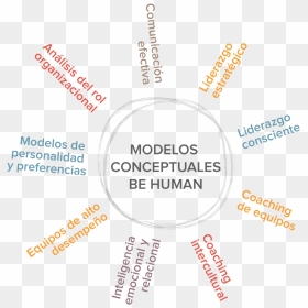 Modelos-34 - Circle, HD Png Download - liderazgo png