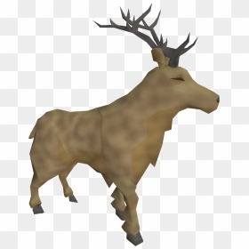 Deer, HD Png Download - stag png