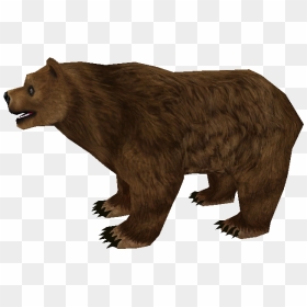 Download Zip Archive - Zoo Tycoon 2 Bear, HD Png Download - grizzly png