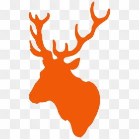 Reindeer , Png Download - Reindeer, Transparent Png - stag png