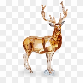 Scs Annual Edition 2020 Stag Alexander, Signed - Swarovski 2020 Annual Edition, HD Png Download - stag png