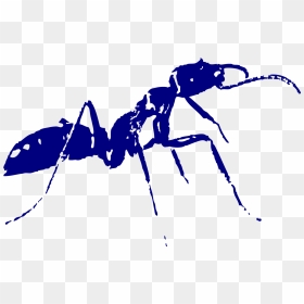 Fakta Unik Dunia Sains, HD Png Download - cucaracha png