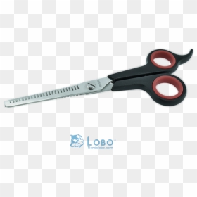 Scissors, HD Png Download - tijera png