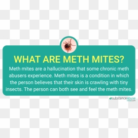 Meth Mites And Meth Sores- The Dangers Of Meth Abuse - Hornet, HD Png Download - meth png