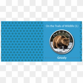 Ibca201955 3 - Punxsutawney Phil, HD Png Download - grizzly png