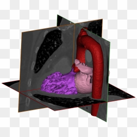 Comfort, HD Png Download - 3d model png