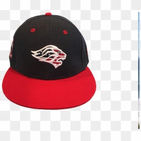 Lions Stars & Stripes 10th Anniversary Snap-back Cap - Baseball Cap, HD Png Download - stars and stripes png