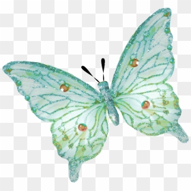 Transparent Green Butterfly, HD Png Download - swiftrage png