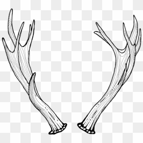 Antlers Web Pair-2, HD Png Download - stag png