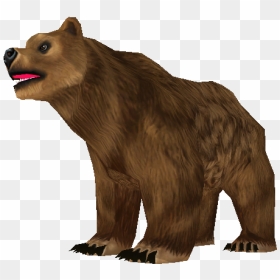 Grizzly Bear, HD Png Download - grizzly png