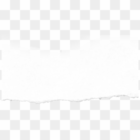 Ripped Paper Vector - Tree, HD Png Download - paper vector png