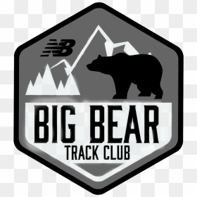 Grizzly Bear , Png Download - Grizzly Bear, Transparent Png - grizzly png