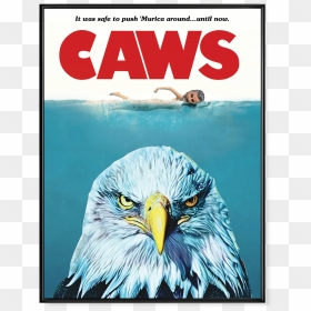 Jaws Movie Poster, HD Png Download - murica png