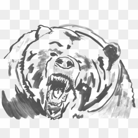 Grizzly Png, Transparent Png - grizzly png