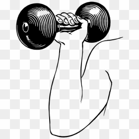 Dumbbell Drawing - Dumbbell Gif Png, Transparent Png - weight lifting png