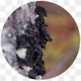 Circle, HD Png Download - ooze png