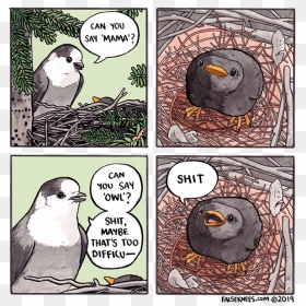False Knees Shit, HD Png Download - ifunny png