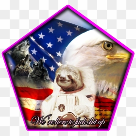 Usa Pixiz, HD Png Download - murica png