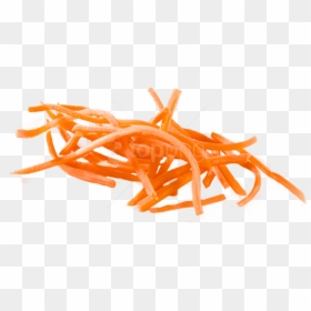 Free Png Download Sliced Carrot Png Images Background - Carrot Slice Png, Transparent Png - zanahoria png